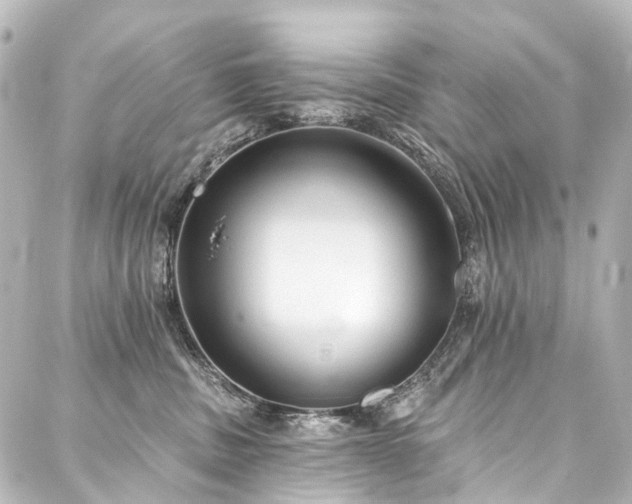 X0000088220379200705151419