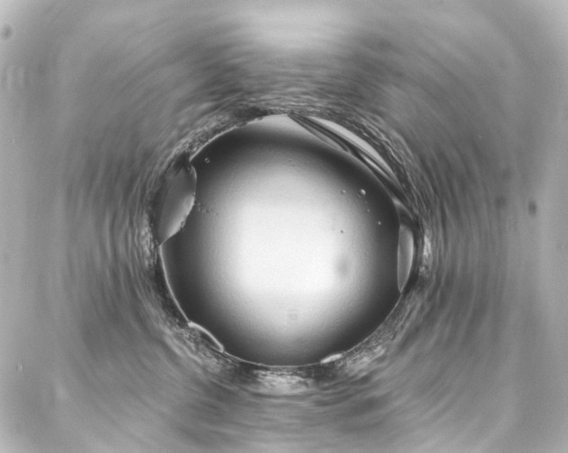 X0000088220380200705151419