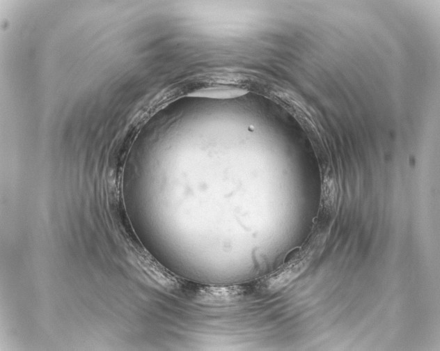 X0000088220381200705151419