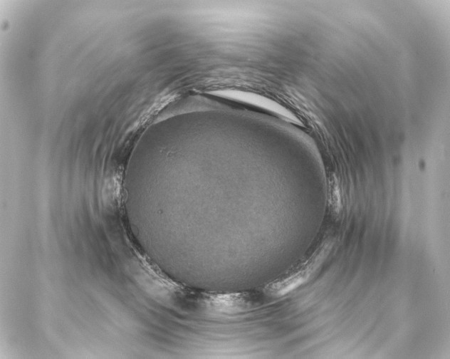 X0000088220382200705151419