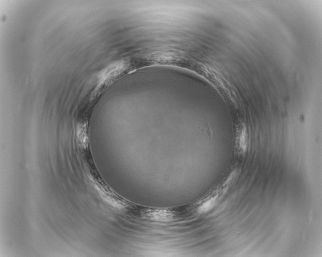 X0000088220383200705151419