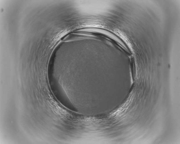 X0000088220385200705151419