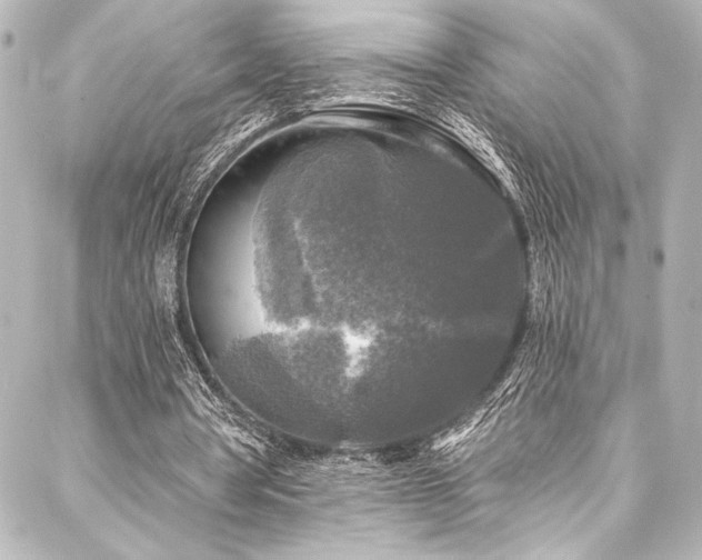 X0000088220386200705151419