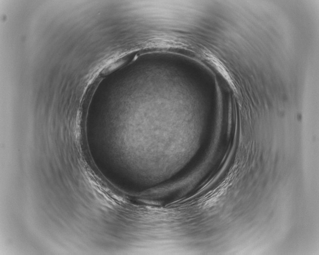 X0000088220387200705151419