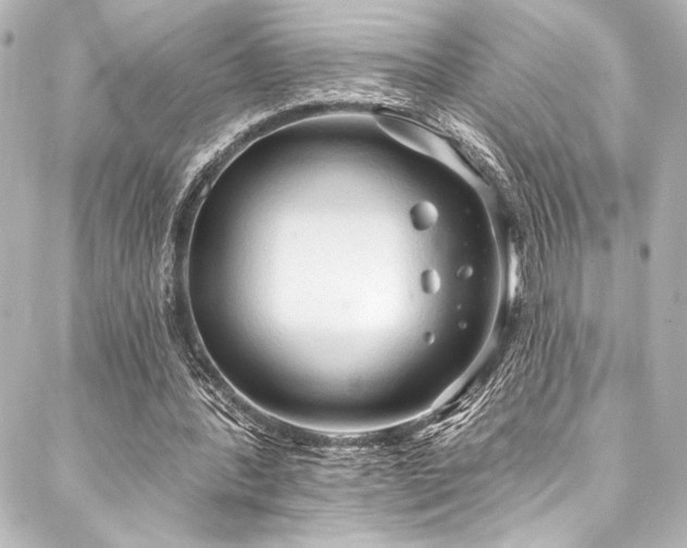 X0000088220388200705151419