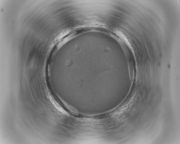 X0000088220389200705151419