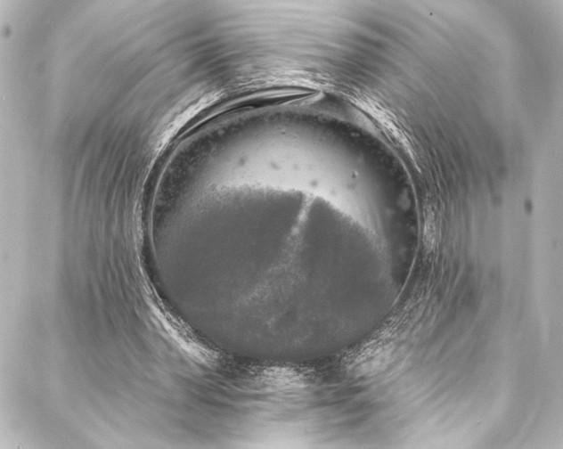 X0000088220390200705151419