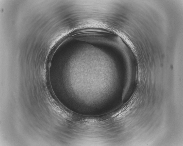 X0000088220391200705151418