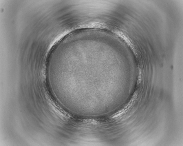 X0000088220392200705151418