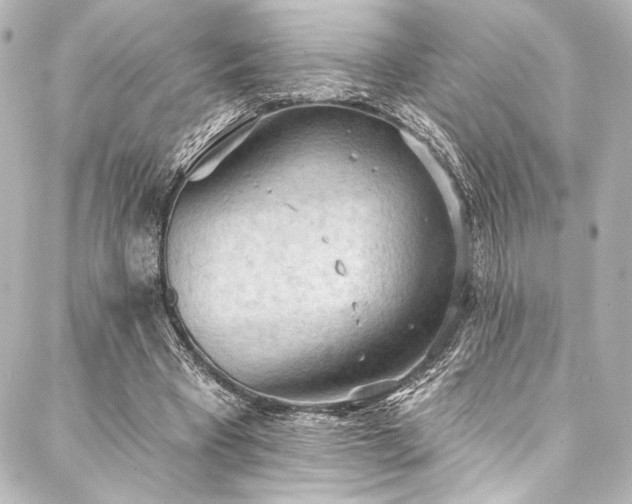 X0000088220393200705151418