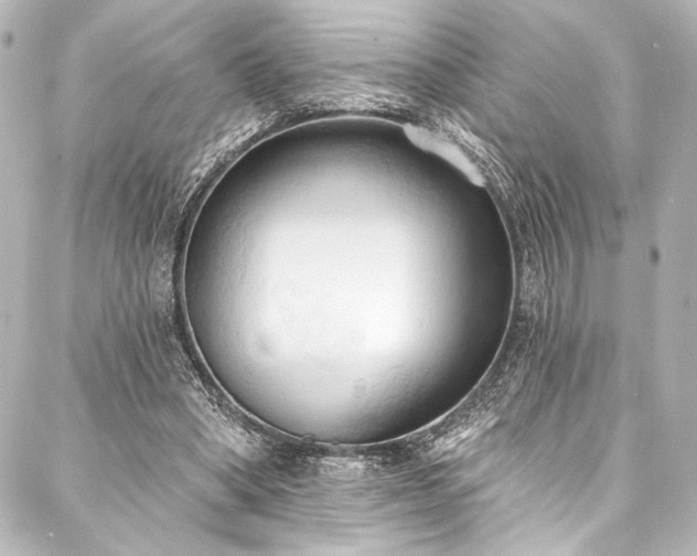 X0000088220394200705151418