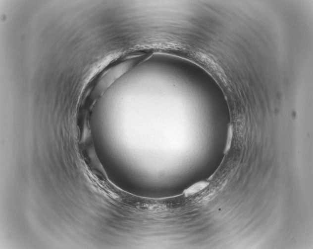 X0000088220395200705151418