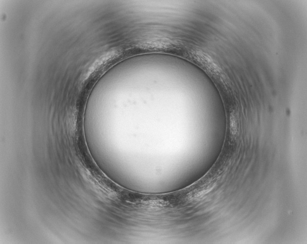 X0000088220396200705151418