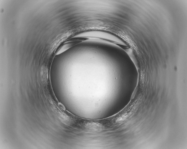 X0000088220397200705151418