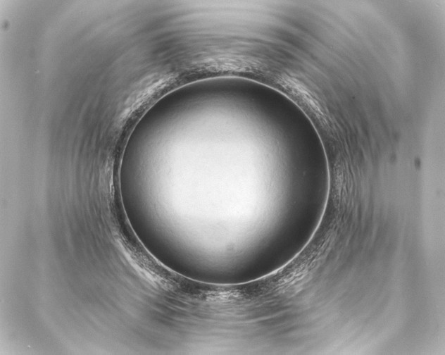 X0000088220398200705151418