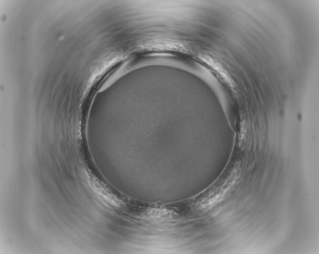 X0000088220399200705151418