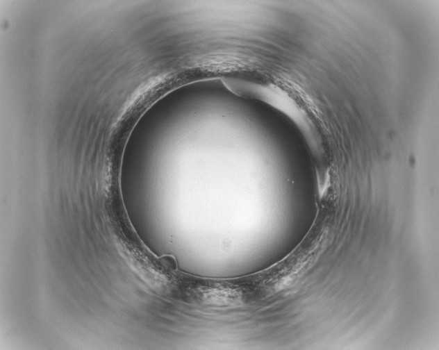 X0000088220400200705151418