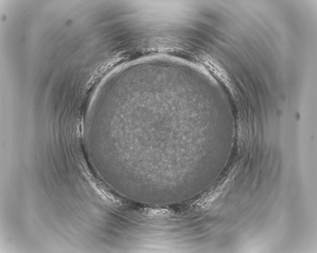 X0000088220401200705151418