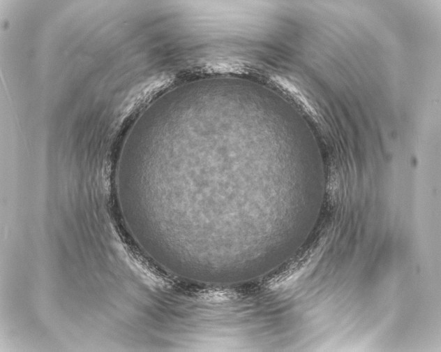 X0000088220402200705151418