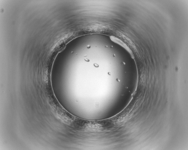 X0000088220403200705151418