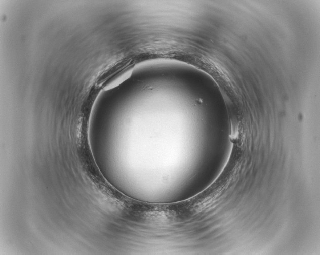 X0000088220404200705151418