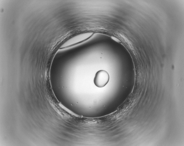 X0000088220405200705151418