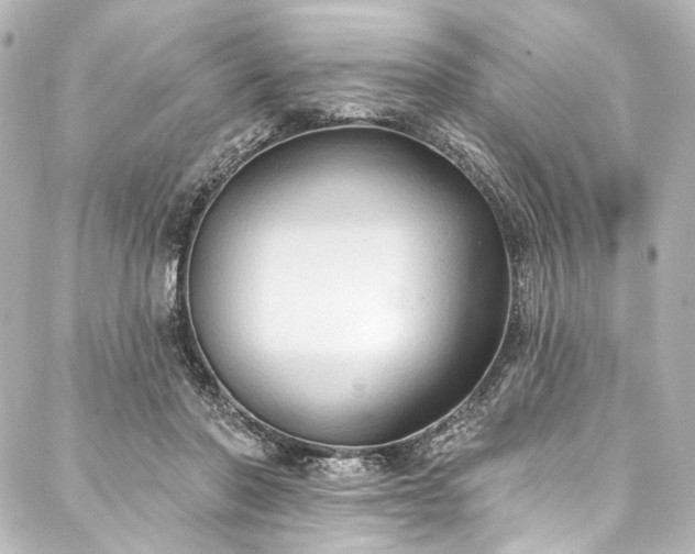 X0000088220406200705151418