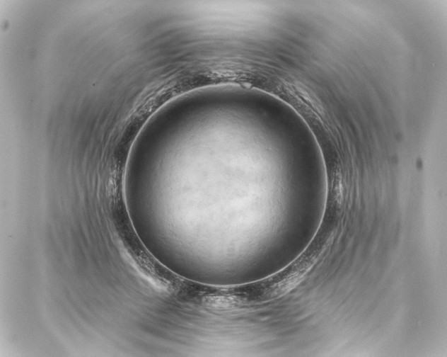 X0000088220408200705151418