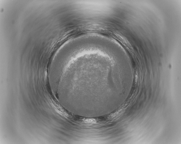 X0000088220409200705151418