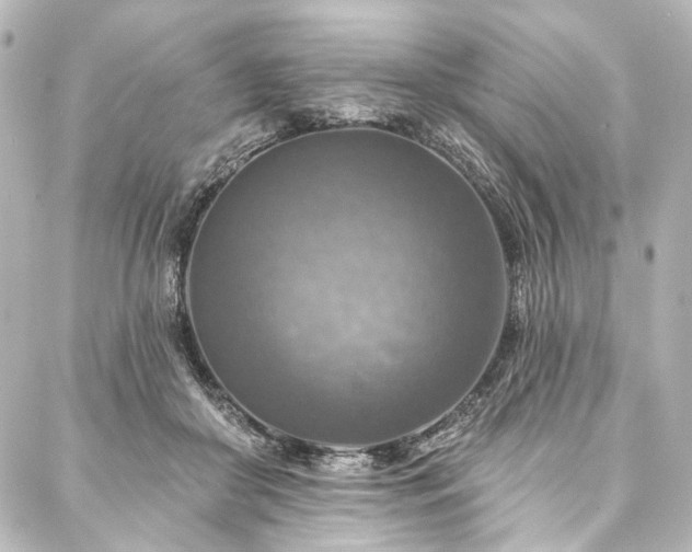 X0000088220410200705151418