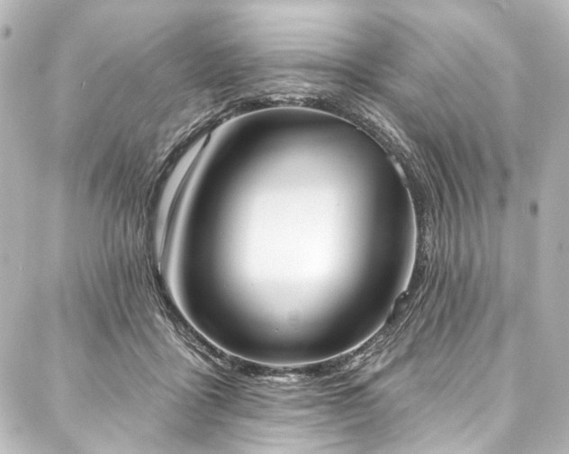 X0000088220411200705151418