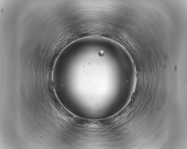 X0000088220412200705151418