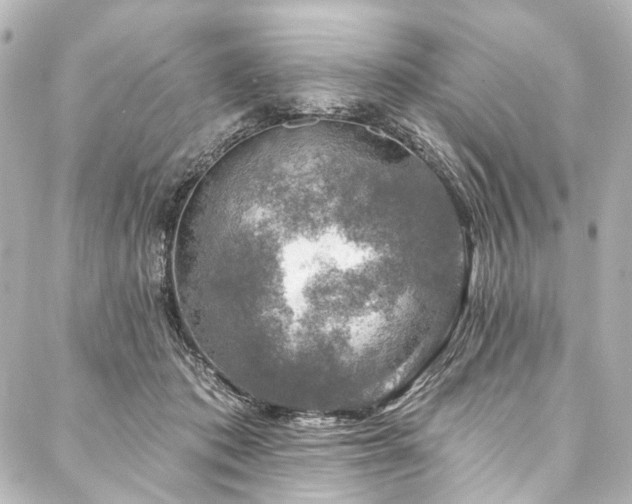 X0000088220413200705151418