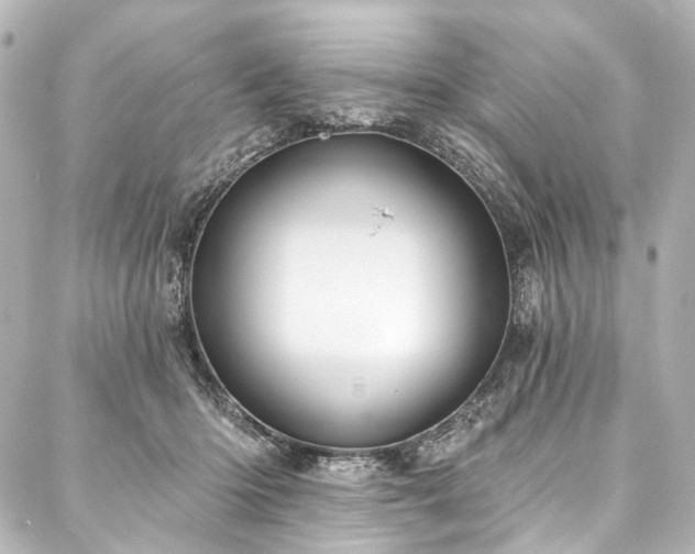 X0000088220414200705151418