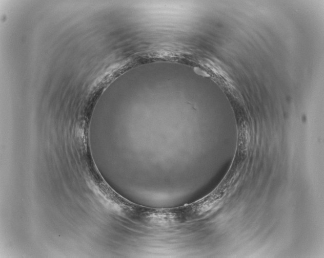 X0000088220415200705151418