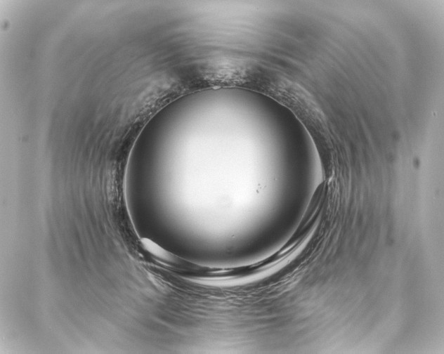 X0000088220416200705151418