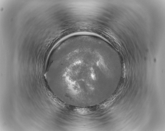 X0000088220417200705151418