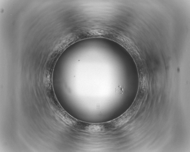 X0000088220418200705151418