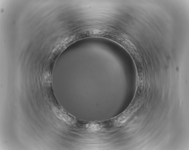 X0000088220419200705151418