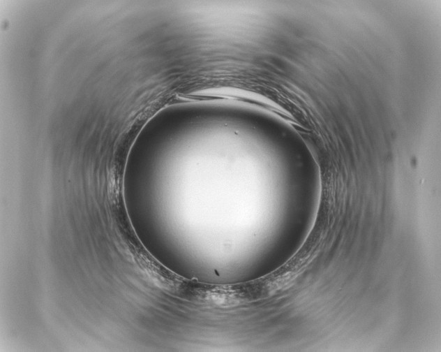 X0000088220420200705151418