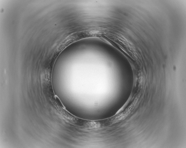 X0000088220421200705151418