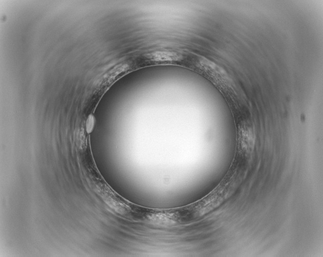 X0000088220422200705151418