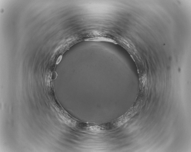 X0000088220423200705151418