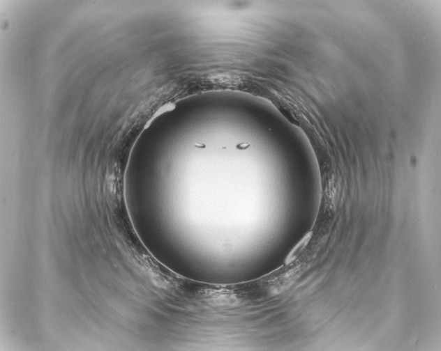 X0000088220424200705151418