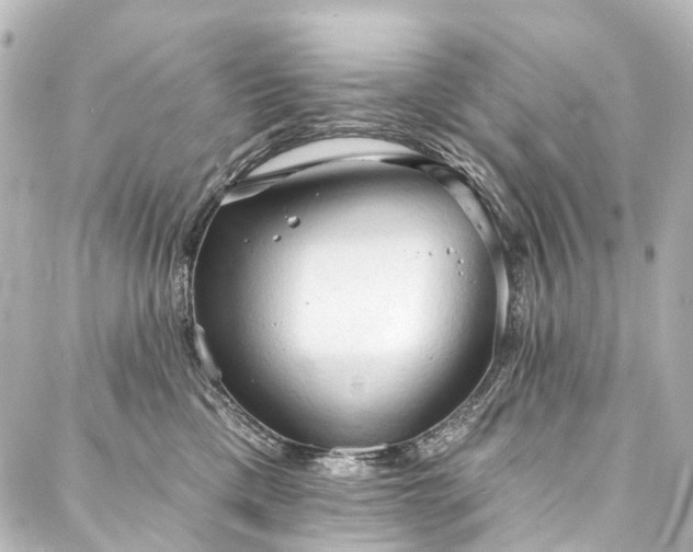 X0000088220425200705151418