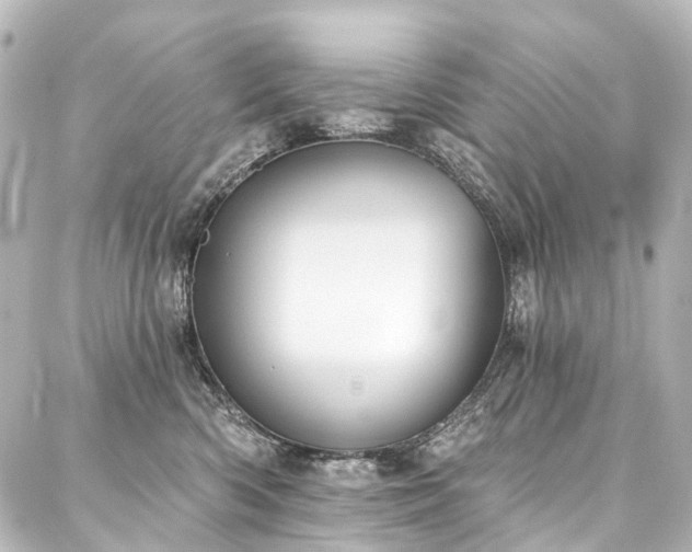 X0000088220426200705151418