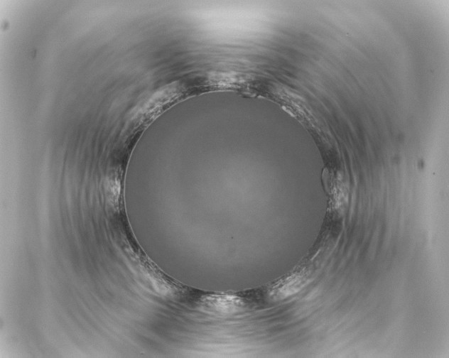 X0000088220427200705151418