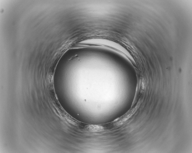 X0000088220429200705151418