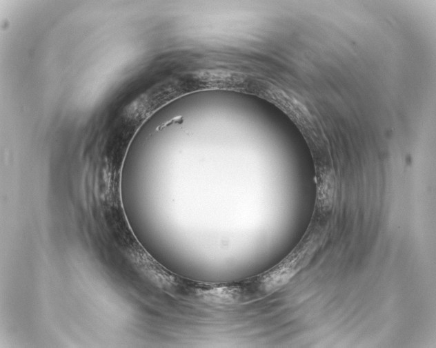 X0000088220430200705151418