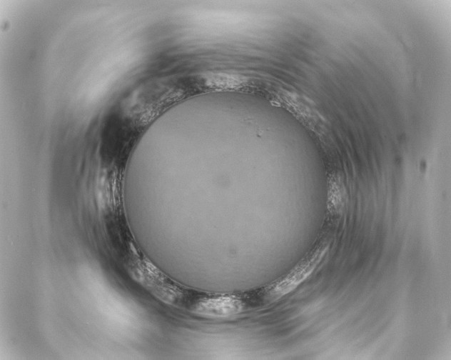 X0000088220431200705151418